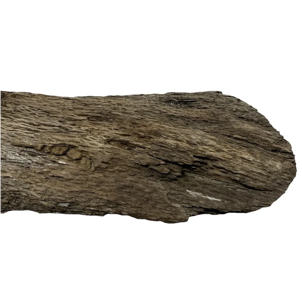 Twisted California Coast Driftwood Form – Dark Weathered Grain 13”
